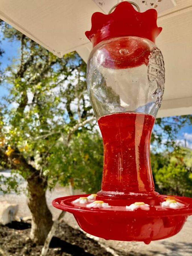 فيلا Hummingbird Haus - Hill Country Views On 20 Acres With Firepit Spring Branch المظهر الخارجي الصورة